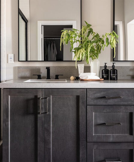 Heatherly at Rancho Mission Viejo Plan 1 Model Home - Organic Modern Primary Bath